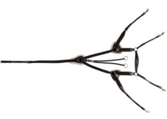 STC Jeremy and Lord 5 Point Breastplate