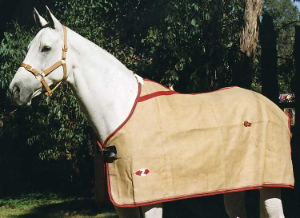 Zilco Jute Rug