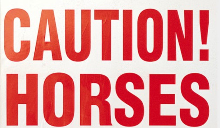 STC Caution Horses Sticker