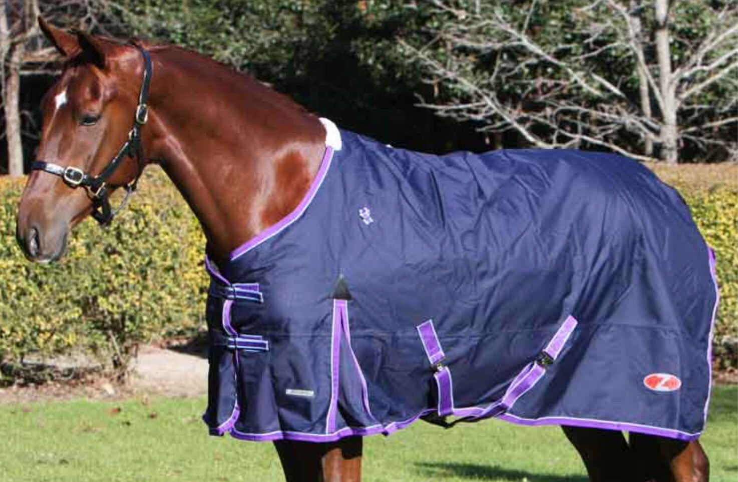 Zilco Explorer 200 Rug