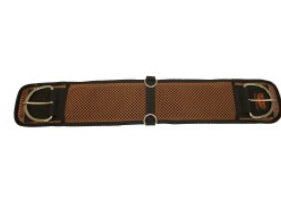 Fort Worth Cell Air Cinch