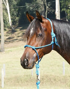 InSync 8mm Polyester Rope Halter