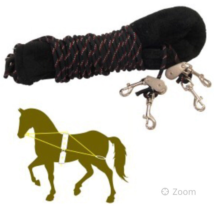 STC Showmaster Training System
