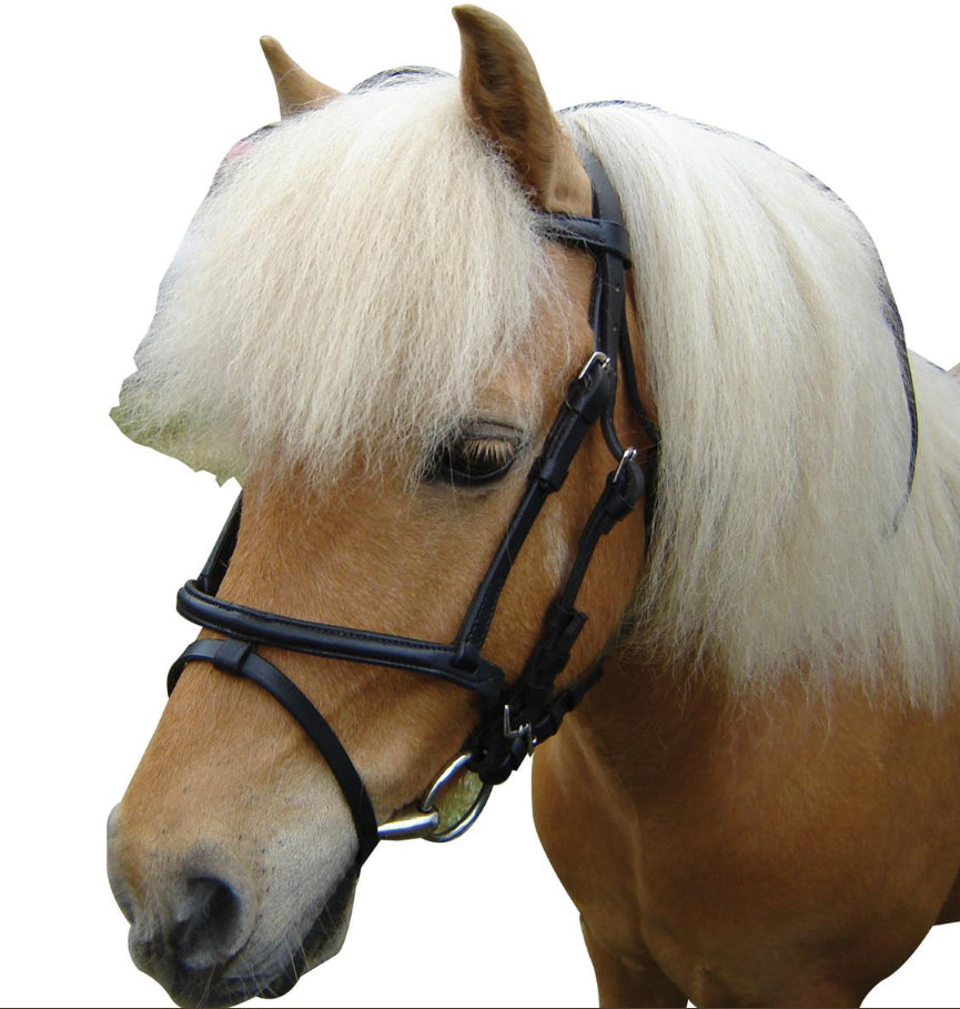 Eureka Miniture Bridle