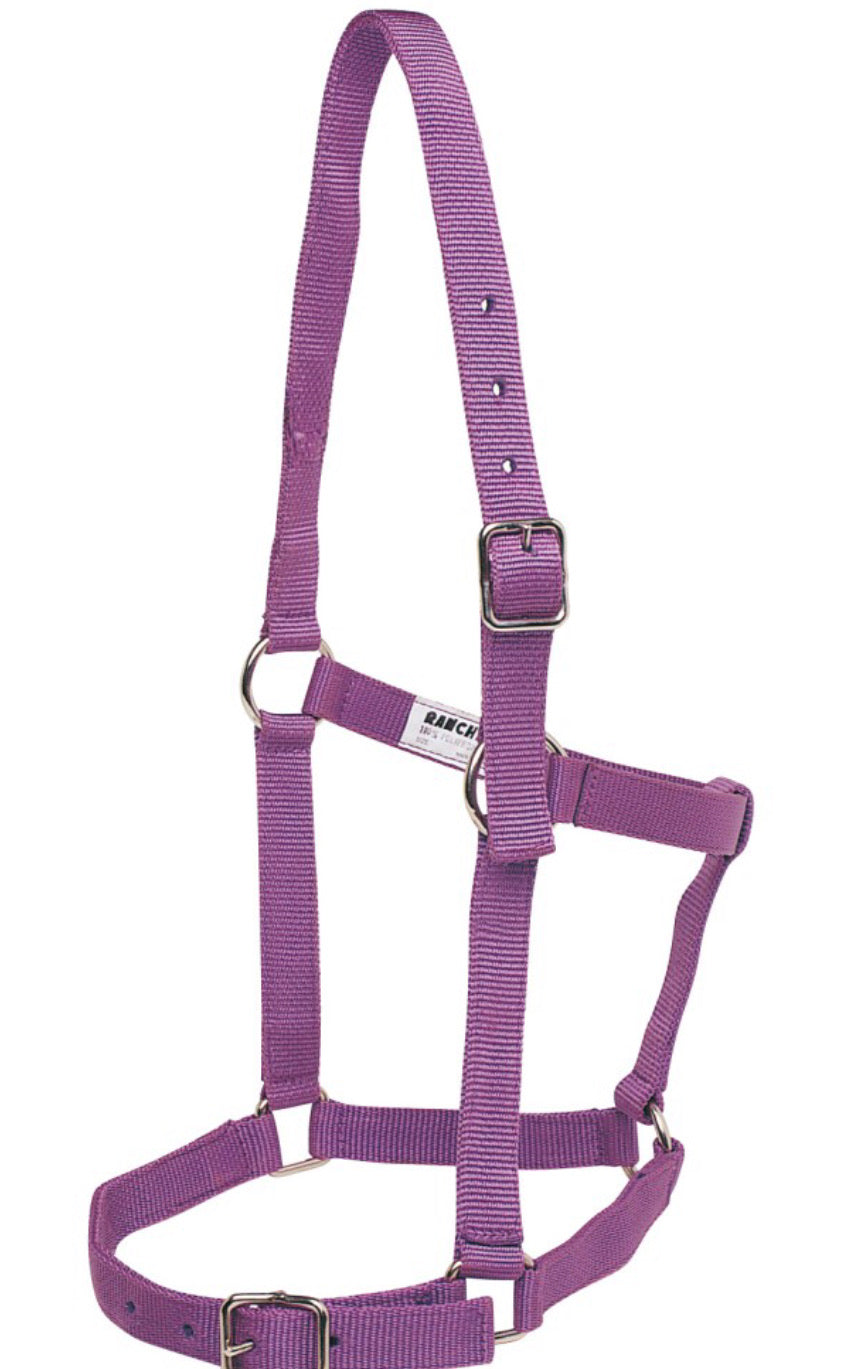 STC Rancher Stable Halter