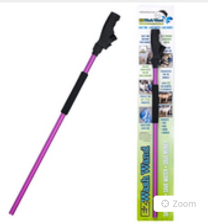 EZ Wash Wand