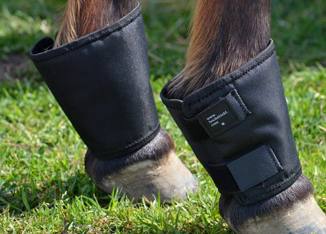 Fetlock shield (one size)