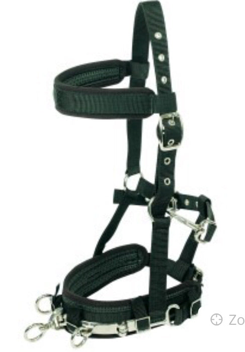 STC Equiprene Lunge Cavesson