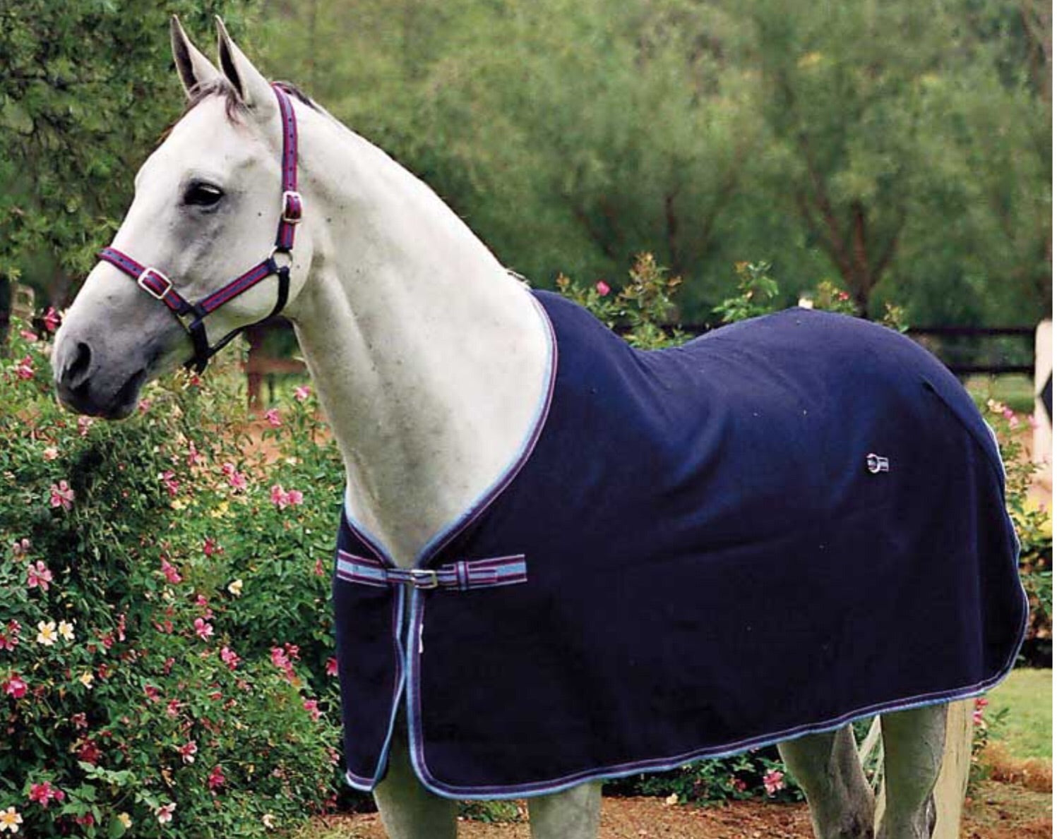 Zilco Defender Wool Rug