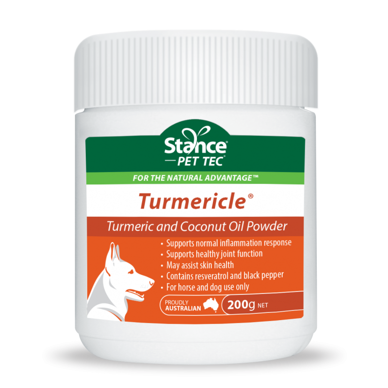 Stance Equitec Turmericle